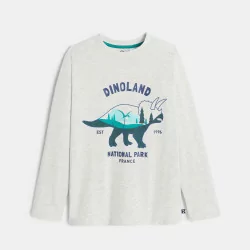 Boys' grey dinosaur T-shirt with long-sleeves