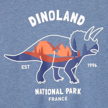 Boys' blue dinosaur T-shirt
