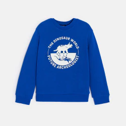 Boy's blue dinosaur motif sweatshirt