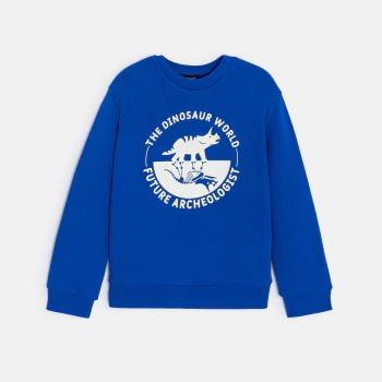 Boy's blue dinosaur motif sweatshirt