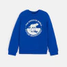 Boy's blue dinosaur motif sweatshirt