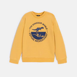 Boy's yellow dinosaur motif sweatshirt
