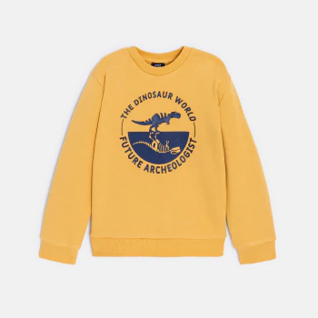 Boy's yellow dinosaur motif sweatshirt