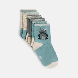 Baby boy's blue frog socks