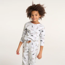 Boys' grey 2-piece jersey pyjamas with dinosaur motifs