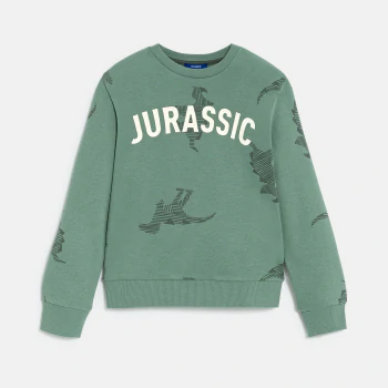 Boy's green dinosaur print sweatshirt