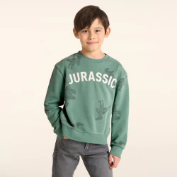 Boy's green dinosaur print sweatshirt