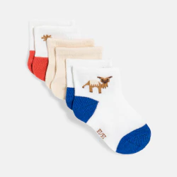 Baby boy's desert motif socks (pack of 3)