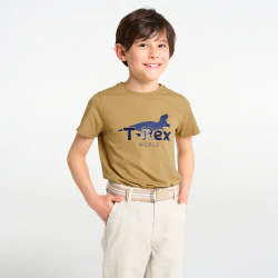 Boy's dark beige dinosaur motif T-shirt
