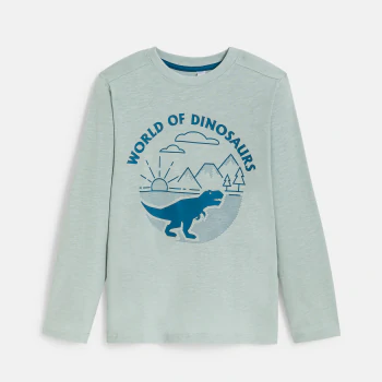 Boy's blue dinosaur motif T-shirt