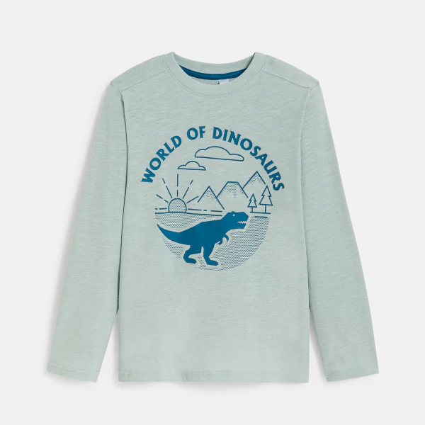 Boy's blue dinosaur motif T-shirt
