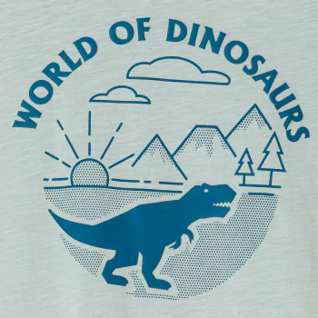 Boy's blue dinosaur motif T-shirt