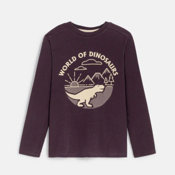 Boy's brown dinosaur motif T-shirt