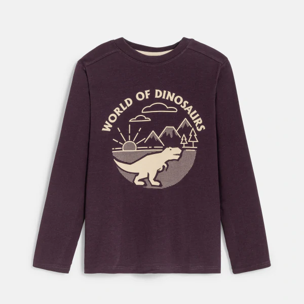 Boy's brown dinosaur motif T-shirt