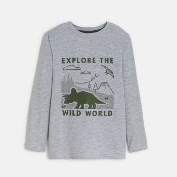 Boy's grey dinosaur motif T-shirt