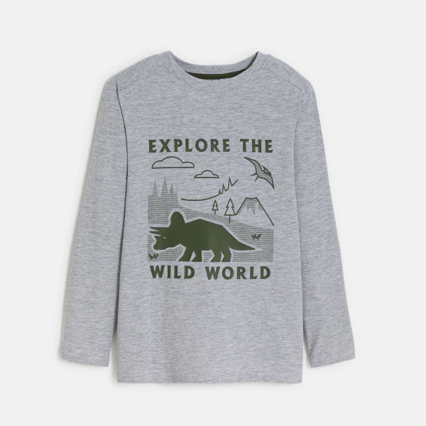 Boy's grey dinosaur motif T-shirt