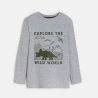 Boy's grey dinosaur motif T-shirt