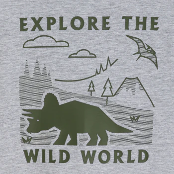 Boy's grey dinosaur motif T-shirt