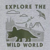 Boy's grey dinosaur motif T-shirt