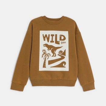 سويت شيرت مزين برسمة ديناصور، باللون البني للأولاد