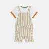 Baby boy's brown striped short overalls and T-shirt