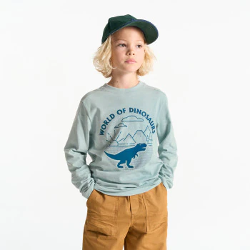 Boy's blue dinosaur motif T-shirt