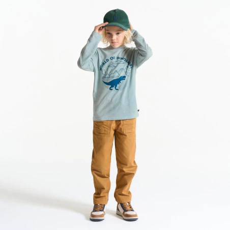 Boy's blue dinosaur motif T-shirt