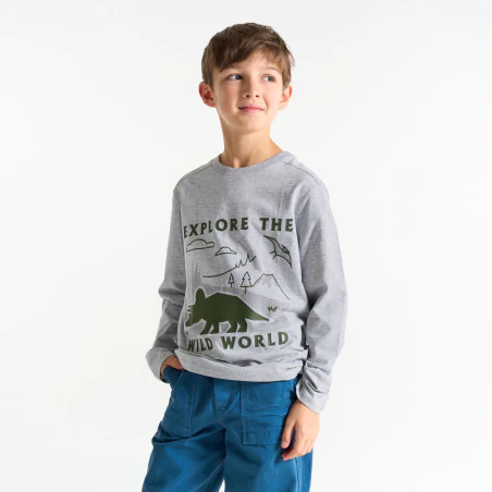 Boy's grey dinosaur motif T-shirt