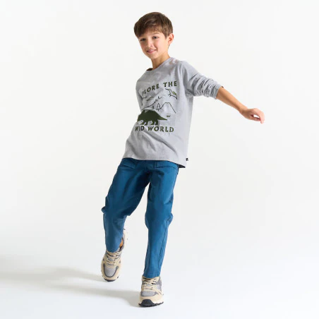 Boy's grey dinosaur motif T-shirt