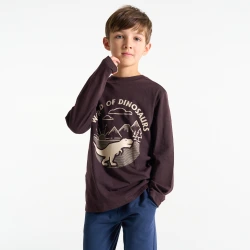 تيشيرت مزين برسمة ديناصور، باللون البني للأولاد.