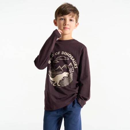Boy's brown dinosaur motif T-shirt