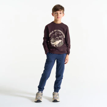 Boy's brown dinosaur motif T-shirt