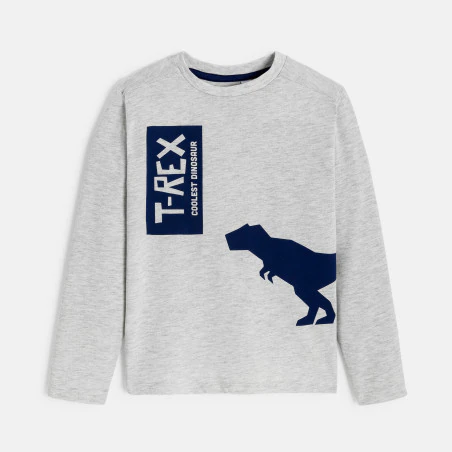 Boy's white dinosaur motif T-shirt with long sleeves
