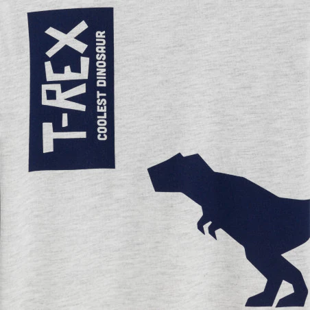 Boy's white dinosaur motif T-shirt with long sleeves